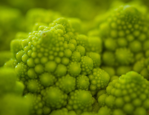 Closeup of green romanesque cabbage