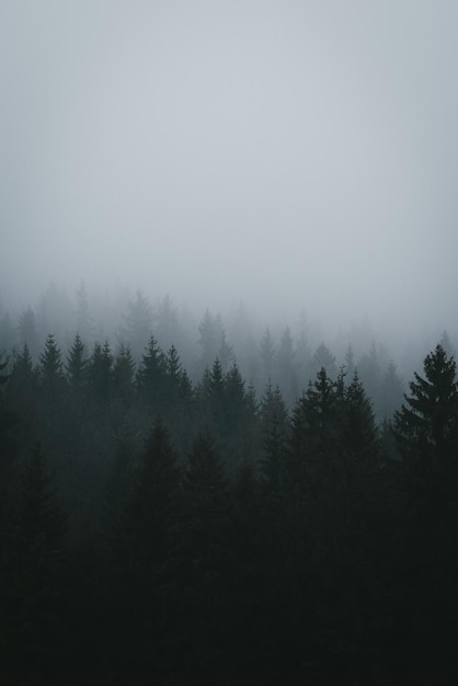 Cold morning