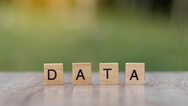 Data word Written With wood Blocks On table nature background