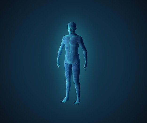 Digitally generated image of human body against blue background