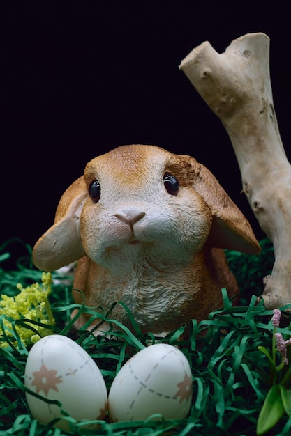Easter bunny and easter eggs against black background