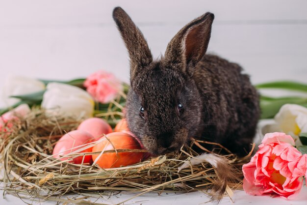 Easter bunny with easter eggs with tulips and a nest of hay. Positive spring easter composition.