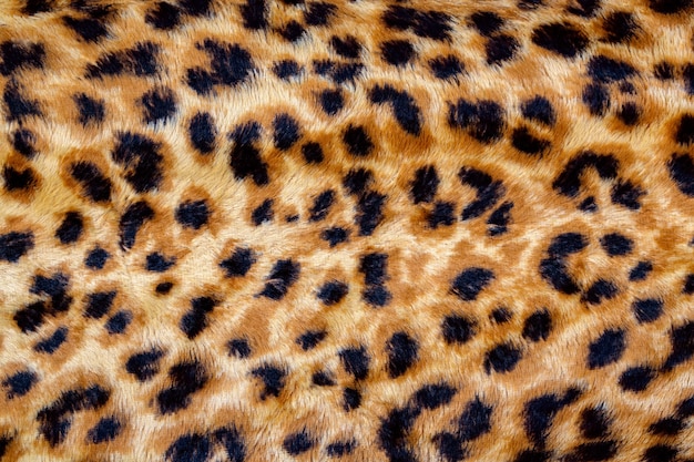 Fashionable Leopard Seamless Pattern. Stylized Spotted Leopard Skin Background