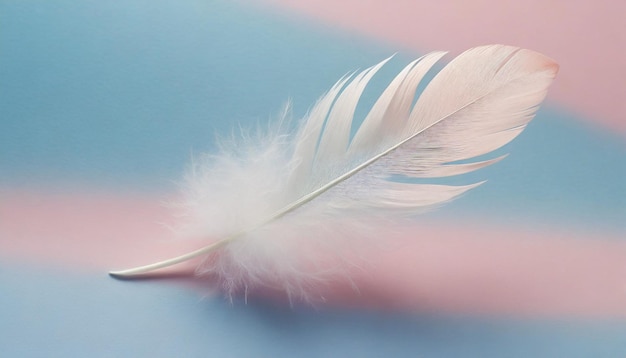 feather on soft hues background symbolizing lightness and grace Perfect for gentle concepts
