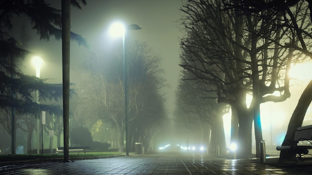fog in village fog in city fog in nature photo