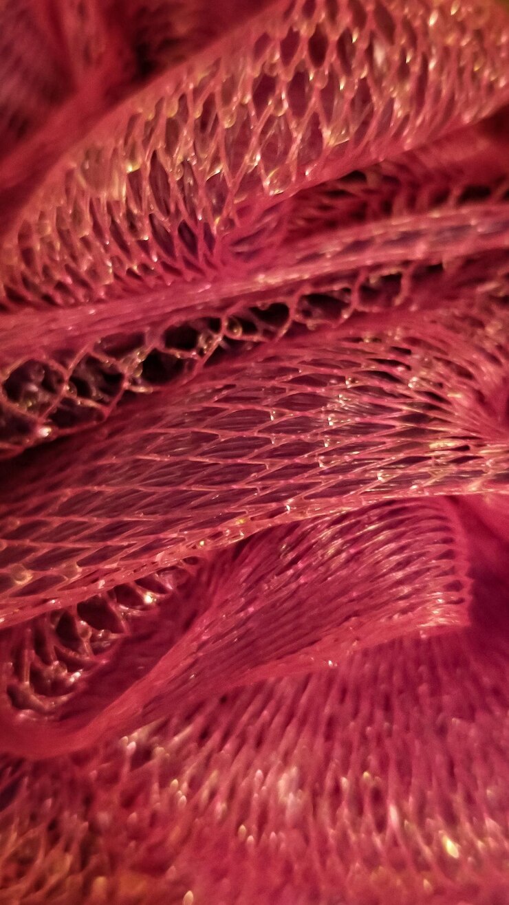 Foto full frame shot of fish