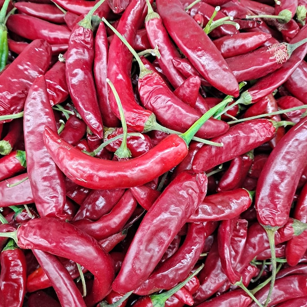 Fullformatbilde av røde chilipepper