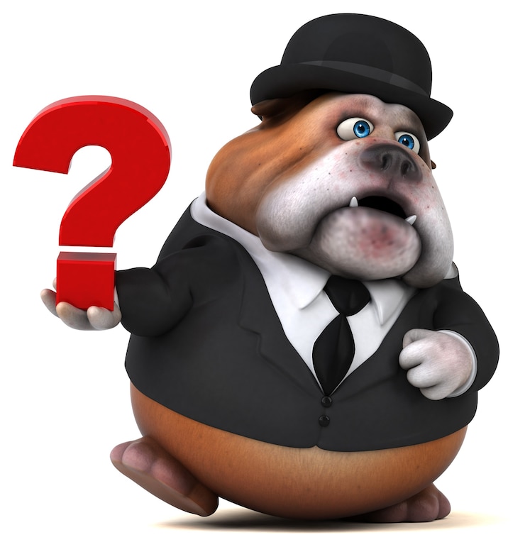 Foto fun bulldog - 3d illustration