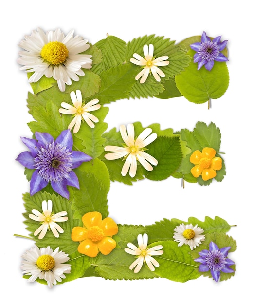 Green leaf letter