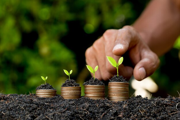 hand putting coin on coin stack growing graph with green bokeh background,investment concept.tree growing on coin,business finance and save money concept