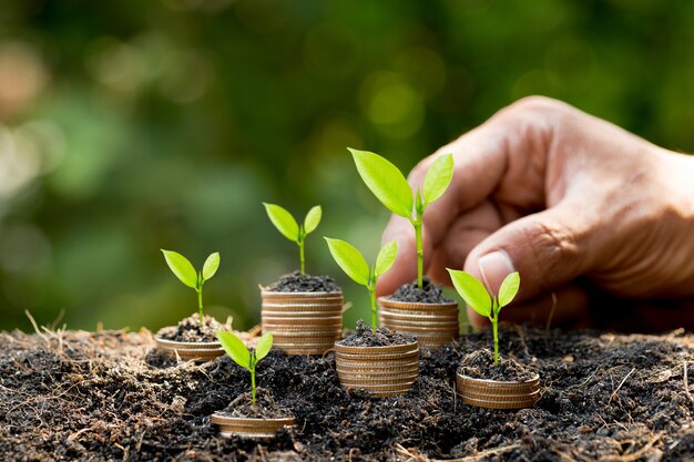 hand putting coin on coin stack growing graph with green bokeh background,investment concept.tree growing on coin,business finance and save money concept