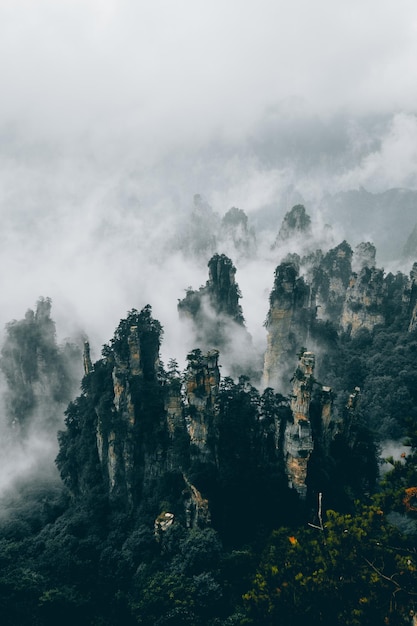 High angle view of rocky mountains at forest during foggy weather