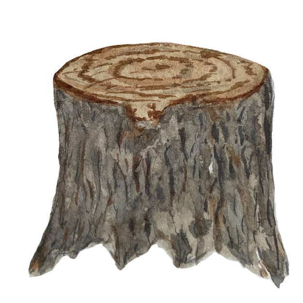 high quality watercolor tree stump illustration isolated on white