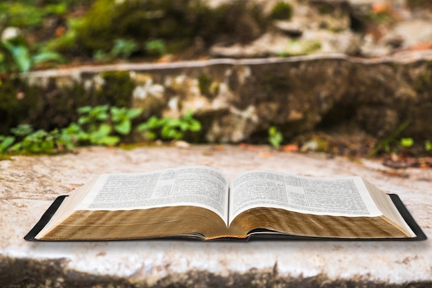 Holy Bible book outdoor on nature background