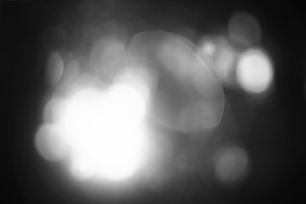 horizontal black and white forest bokeh background