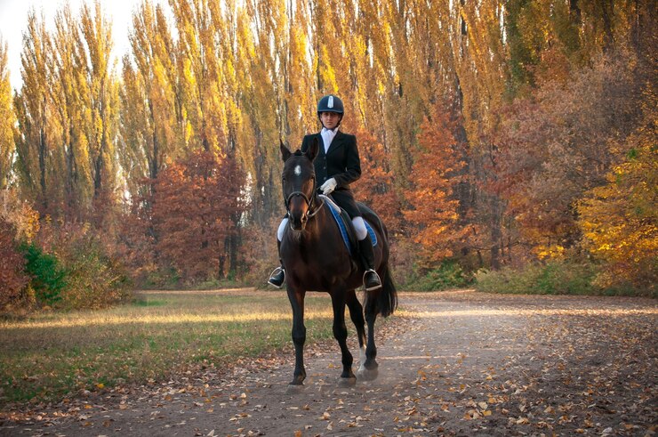 Foto horse riding horses