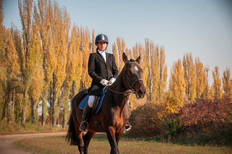 Foto horse riding horses
