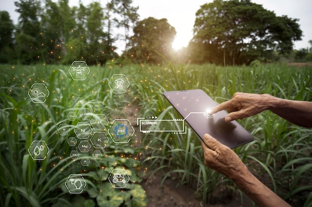 IOT smartbonde-konsept. Bruk av IOT-teknologi for å kontrollere smarttelefonproduksjon med grafiske konsepter, moderne landbruksteknologi, digital gård, smart landbruksinnovasjon