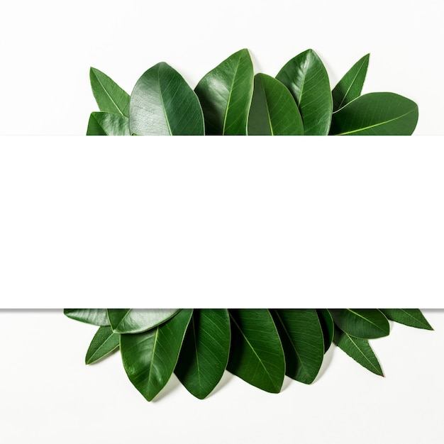 Kreativ layout laget av blader med papirkortnotat