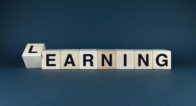 Learning to Earn Education as Investment