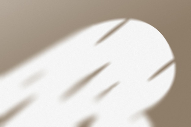Minimalist Aesthetic Shadow Background Simple Elegant Design