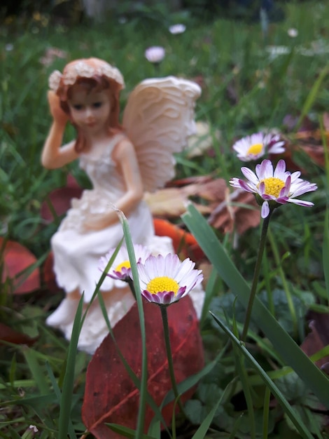 Nærbilde av blomst mot uskarp bakgrunn