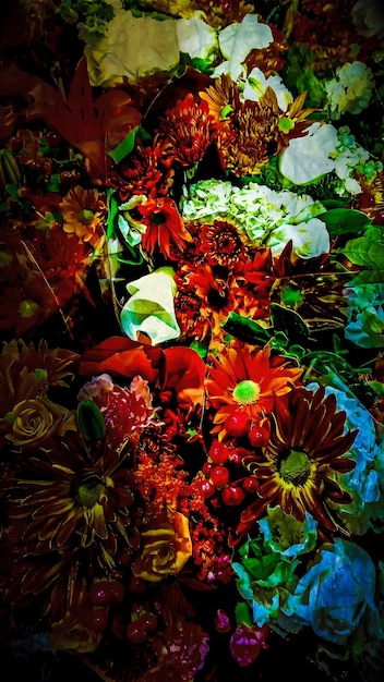 Nærbilde av blomster
