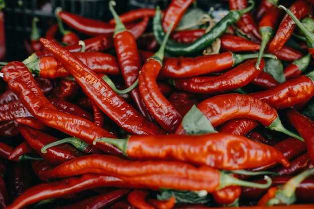 Nærbilde av røde chilipepper