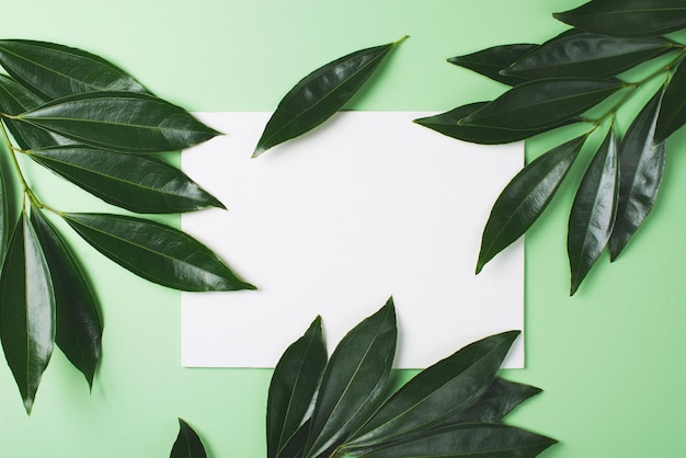 Natural organic leaves mock up frame with white blank on green mint background
