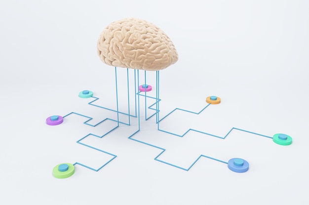 neurological innovation development concept and science concept with human brain layout connected to sensors for computer testing on white background 3d rendering