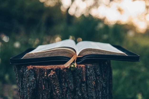 Open bible at sunset in nature christian concept