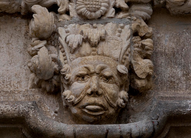 peculiar face with floral decoration
