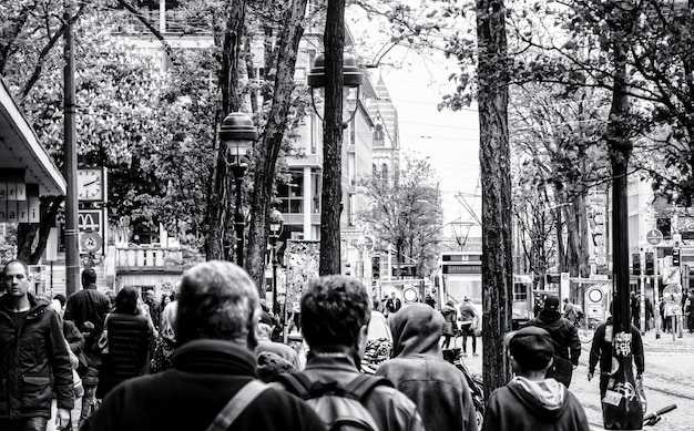 people walking in city