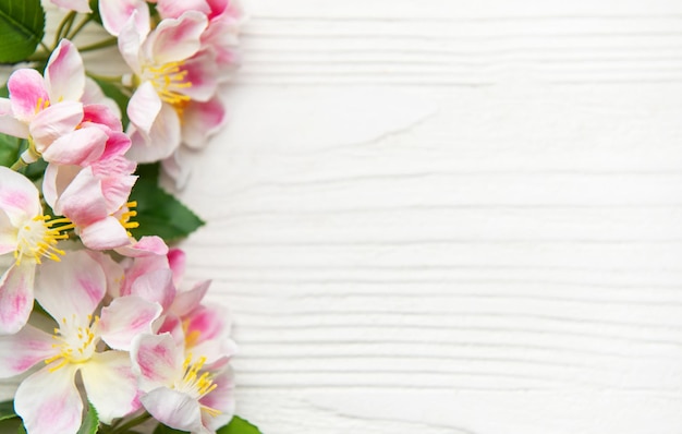 Pink and white flowers bordering a white wooden background