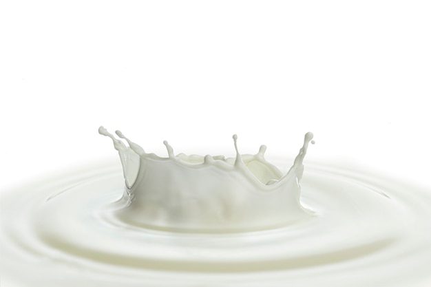 Pouring of milk splash isolated white background