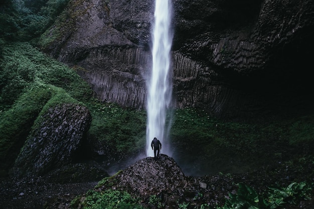 Rear view of man standing in front of latourell falls
