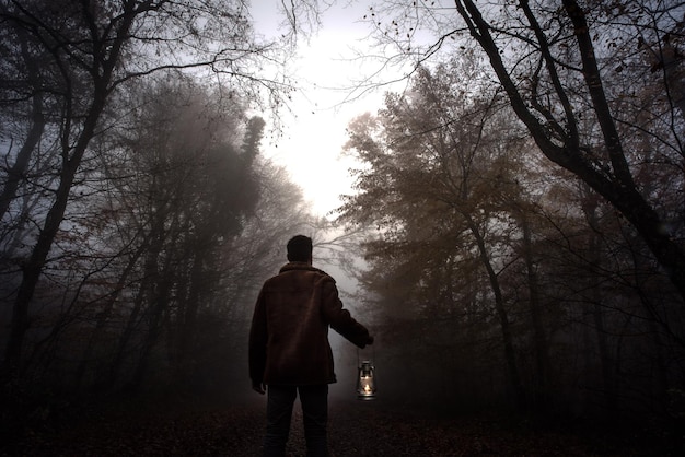 rear view of man with oil lamp standing amidst trees in forest during foggy weather