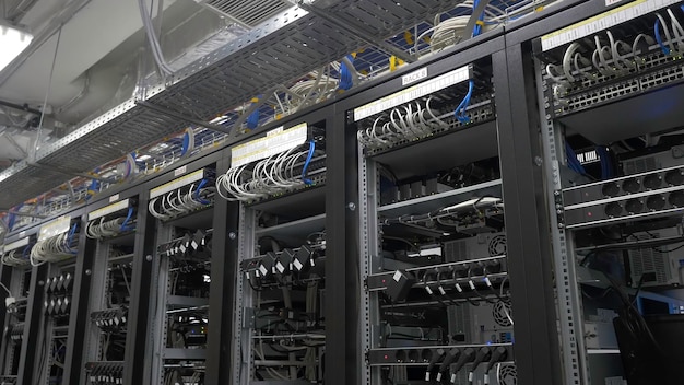 Row of bitcoin miners set up on the wired shelfs computer for bitcoin mining cables plug to