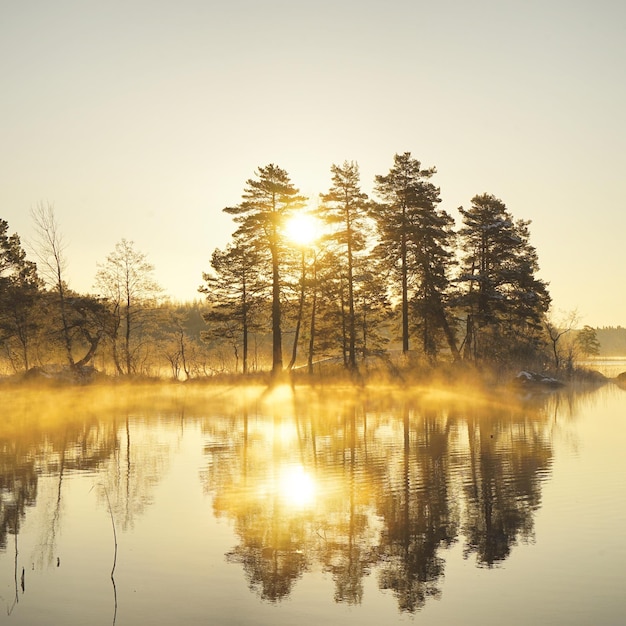 Scenic view of lake during sunrise