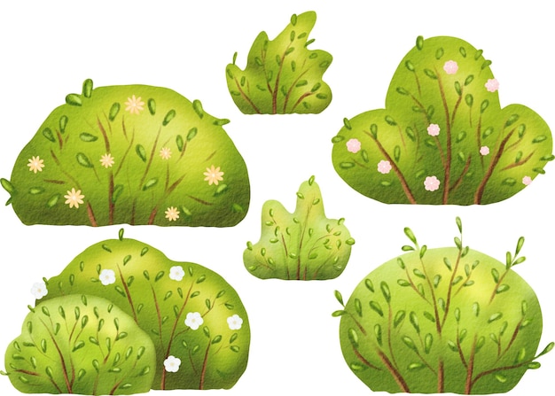 Set of green blossom shrubs under the warm summer sun Cartoon elements with spring leaves