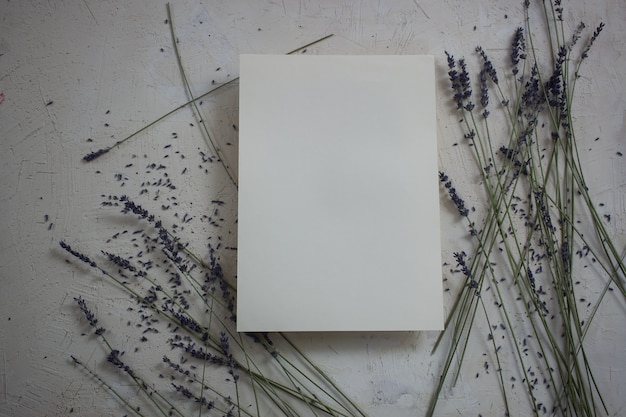 sheet of paper on a background of flowers
