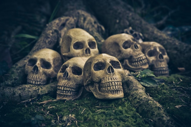 Skull with still life on the roots abstract concept in the halloween day