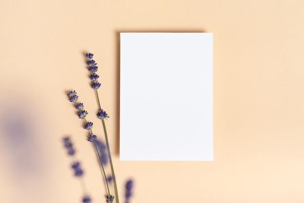 Square invitation white greeting card mockup with a a flowers lavender branch