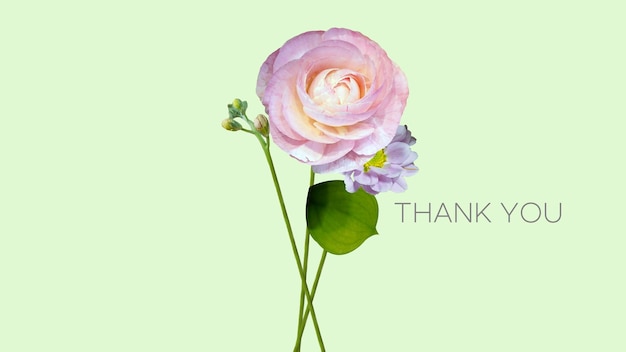 Thank You Cards with Flower Bouquets Ranunculus and Rose Illustrations