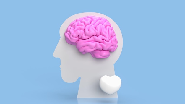 the brain is a complex and remarkable organ that serves as the central hub of the nervous system in most animals including humans