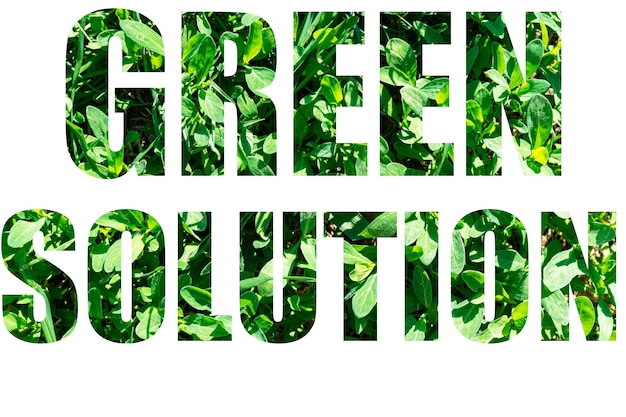 The word GREEN SOLUTION from green grass isolated on white background. Elements for your design.