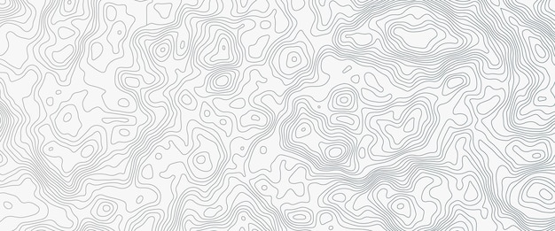 Topografisk linje-konturkart bakgrunn geografisk rutenettkart Abstrakt hvit topografi