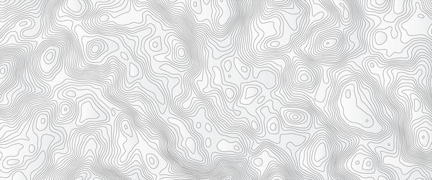 Topografisk linje-konturkart bakgrunn geografisk rutenettkart Abstrakt hvit topografi