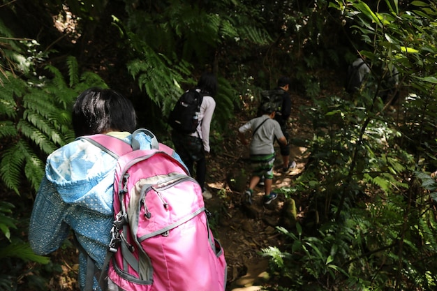 Treaking at iriomote islandokinawajapan