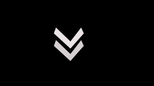 Two down arrows white glyph icon Down Arrow Vector Icon